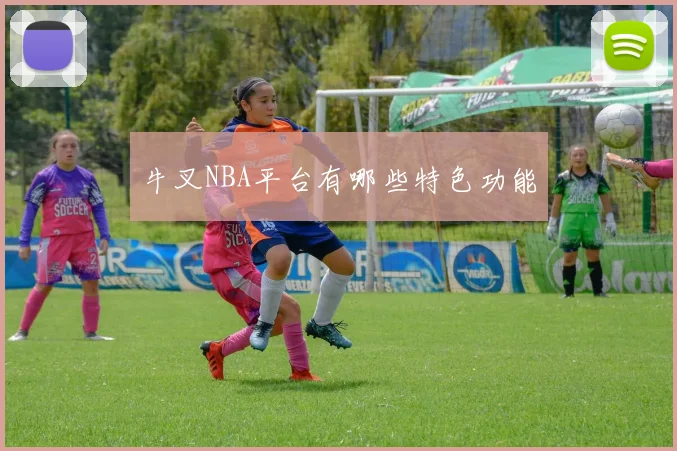 牛叉NBA平台有哪些特色功能