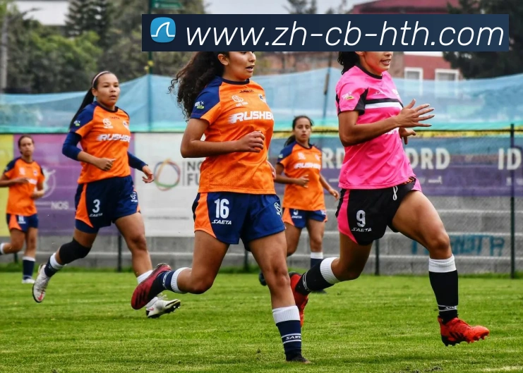 App Interface Preview